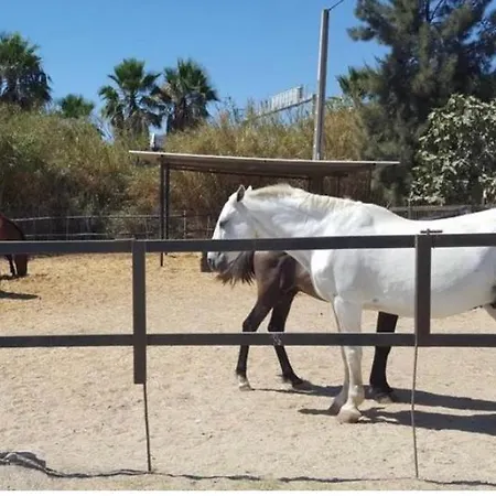 Casa Rustica 1 Appartamento